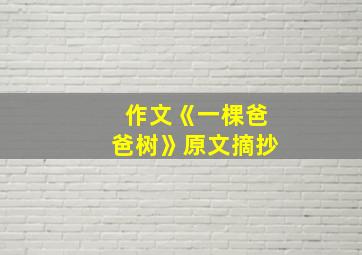 作文《一棵爸爸树》原文摘抄