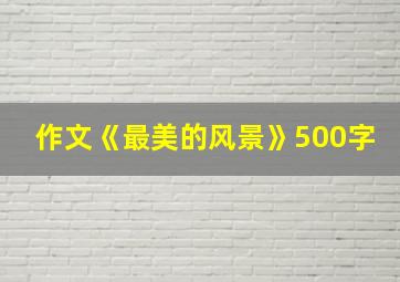 作文《最美的风景》500字