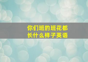 你们班的班花都长什么样子英语