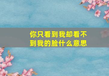 你只看到我却看不到我的脸什么意思