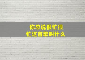 你总说很忙很忙这首歌叫什么