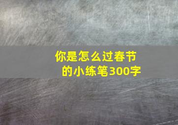 你是怎么过春节的小练笔300字