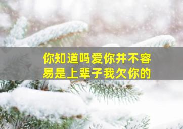 你知道吗爱你并不容易是上辈子我欠你的