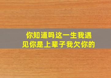 你知道吗这一生我遇见你是上辈子我欠你的