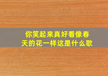 你笑起来真好看像春天的花一样这是什么歌