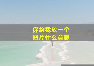 你给我放一个图片什么意思