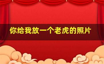 你给我放一个老虎的照片