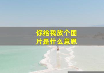 你给我放个图片是什么意思