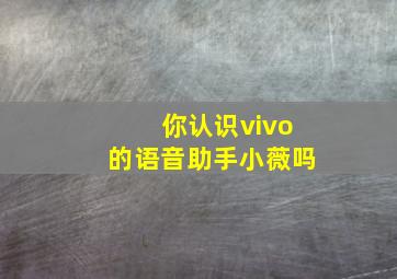 你认识vivo的语音助手小薇吗