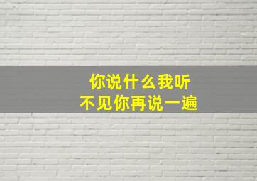 你说什么我听不见你再说一遍