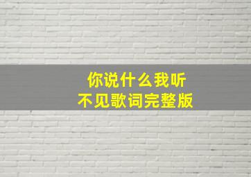 你说什么我听不见歌词完整版