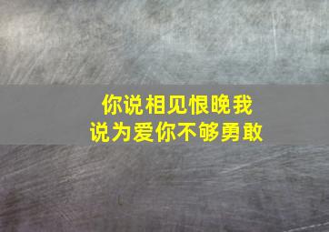 你说相见恨晚我说为爱你不够勇敢