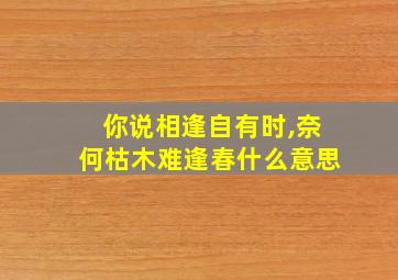 你说相逢自有时,奈何枯木难逢春什么意思