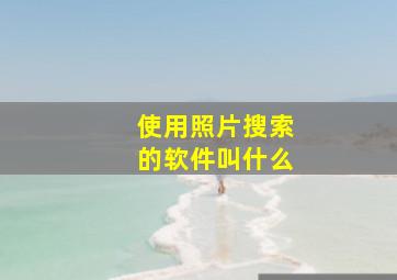 使用照片搜索的软件叫什么