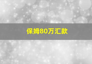 保姆80万汇款