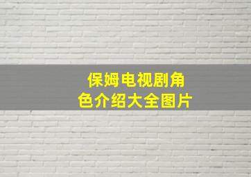 保姆电视剧角色介绍大全图片