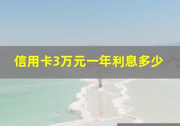 信用卡3万元一年利息多少