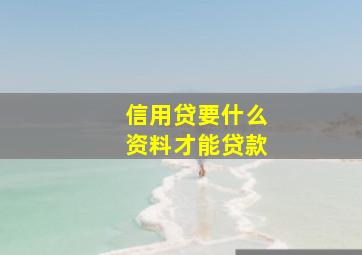 信用贷要什么资料才能贷款