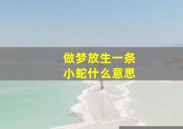 做梦放生一条小蛇什么意思