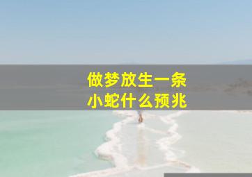 做梦放生一条小蛇什么预兆