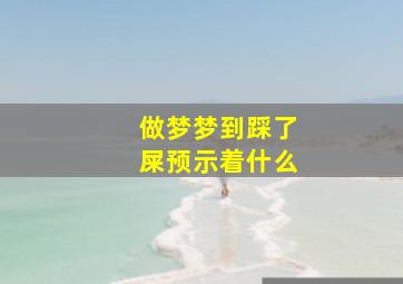 做梦梦到踩了屎预示着什么