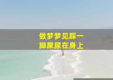 做梦梦见踩一脚屎尿在身上