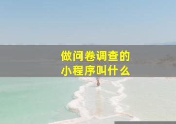 做问卷调查的小程序叫什么