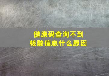 健康码查询不到核酸信息什么原因