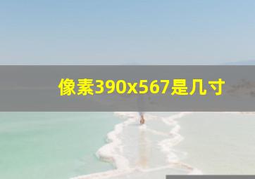 像素390x567是几寸