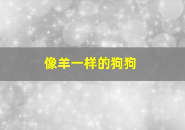 像羊一样的狗狗