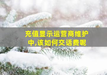 充值显示运营商维护中,该如何交话费呢