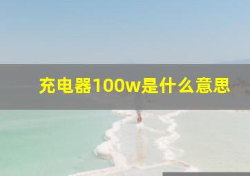 充电器100w是什么意思