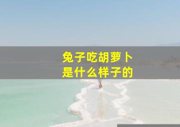 兔子吃胡萝卜是什么样子的