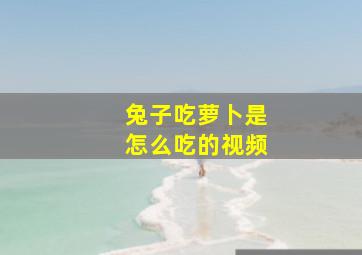 兔子吃萝卜是怎么吃的视频