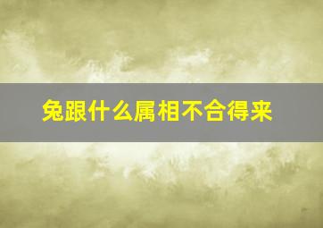 兔跟什么属相不合得来