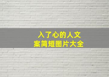 入了心的人文案简短图片大全