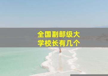 全国副部级大学校长有几个