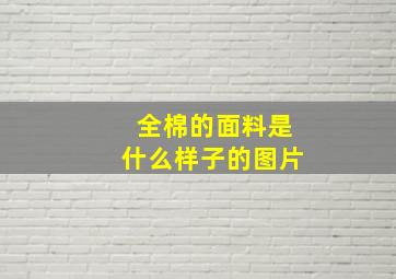 全棉的面料是什么样子的图片