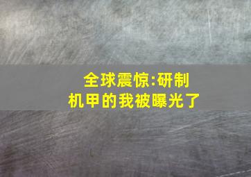 全球震惊:研制机甲的我被曝光了