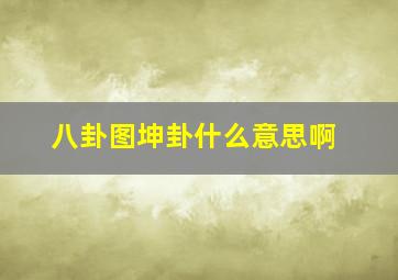 八卦图坤卦什么意思啊