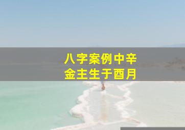 八字案例中辛金主生于酉月