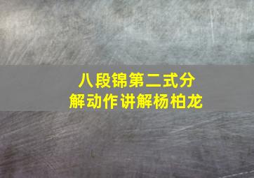 八段锦第二式分解动作讲解杨柏龙