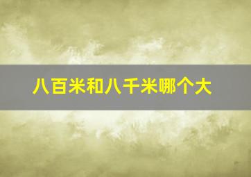 八百米和八千米哪个大