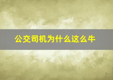 公交司机为什么这么牛