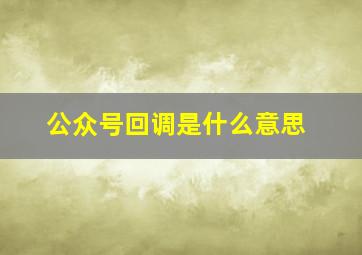 公众号回调是什么意思