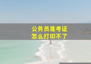 公务员准考证怎么打印不了