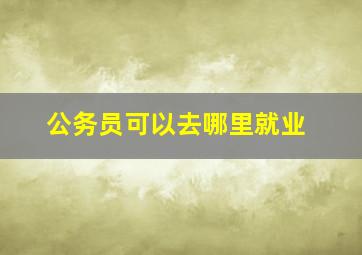 公务员可以去哪里就业