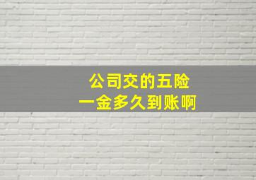 公司交的五险一金多久到账啊