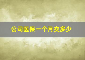 公司医保一个月交多少