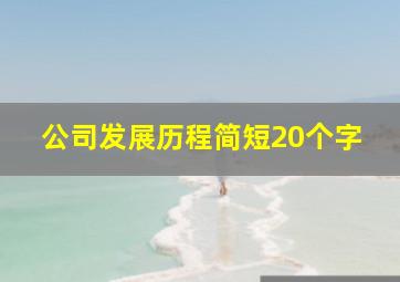 公司发展历程简短20个字